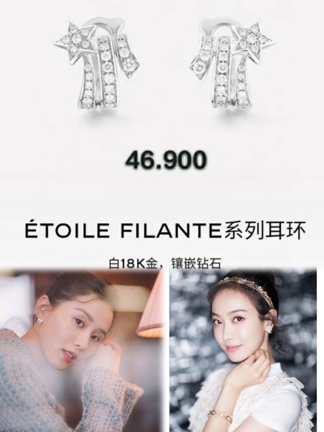 Chanel necklace&Earrings CE15099