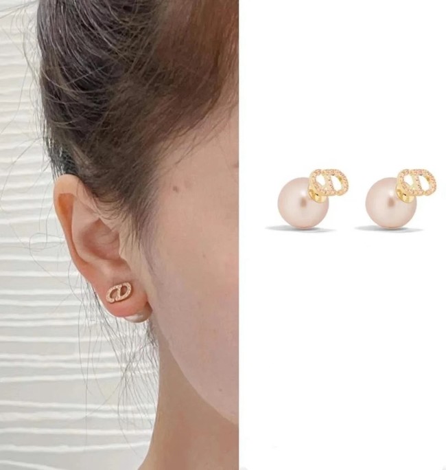 Dior Earrings CE15314