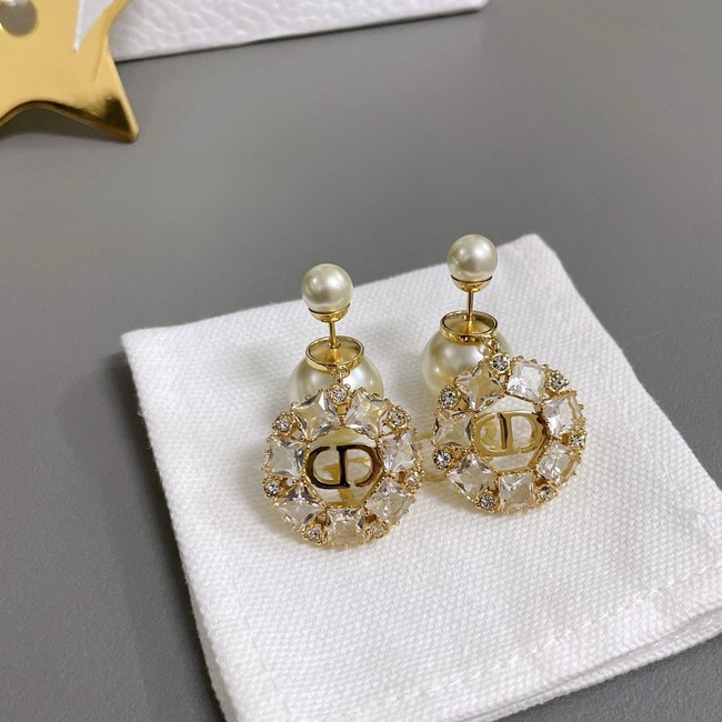 Dior Earrings CE15319