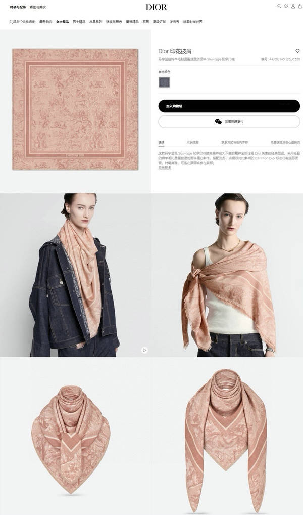 Dior Scarf DIC00436