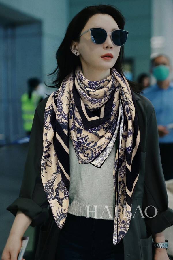 Dior Scarf DIC00443