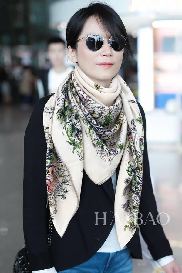 Dior Scarf DIC00452