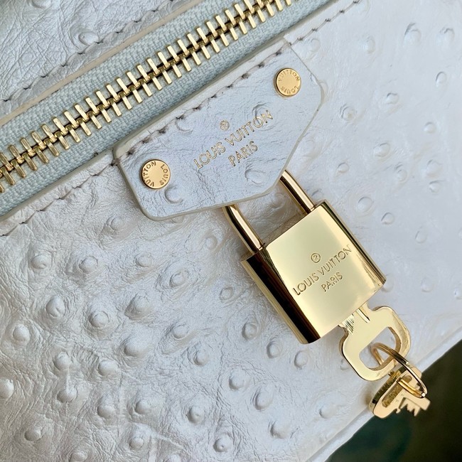 Louis Vuitton Vanity PM M25123 white