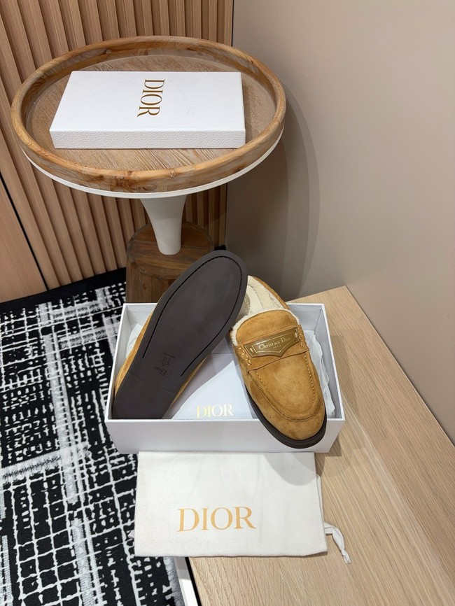 Dior Shoes 55319-2