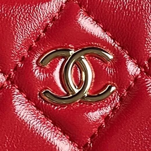 Chanel CAMERA CASE AS5156 RED