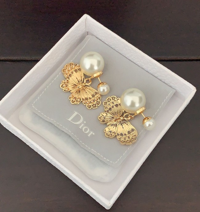 Dior Earrings CE15726