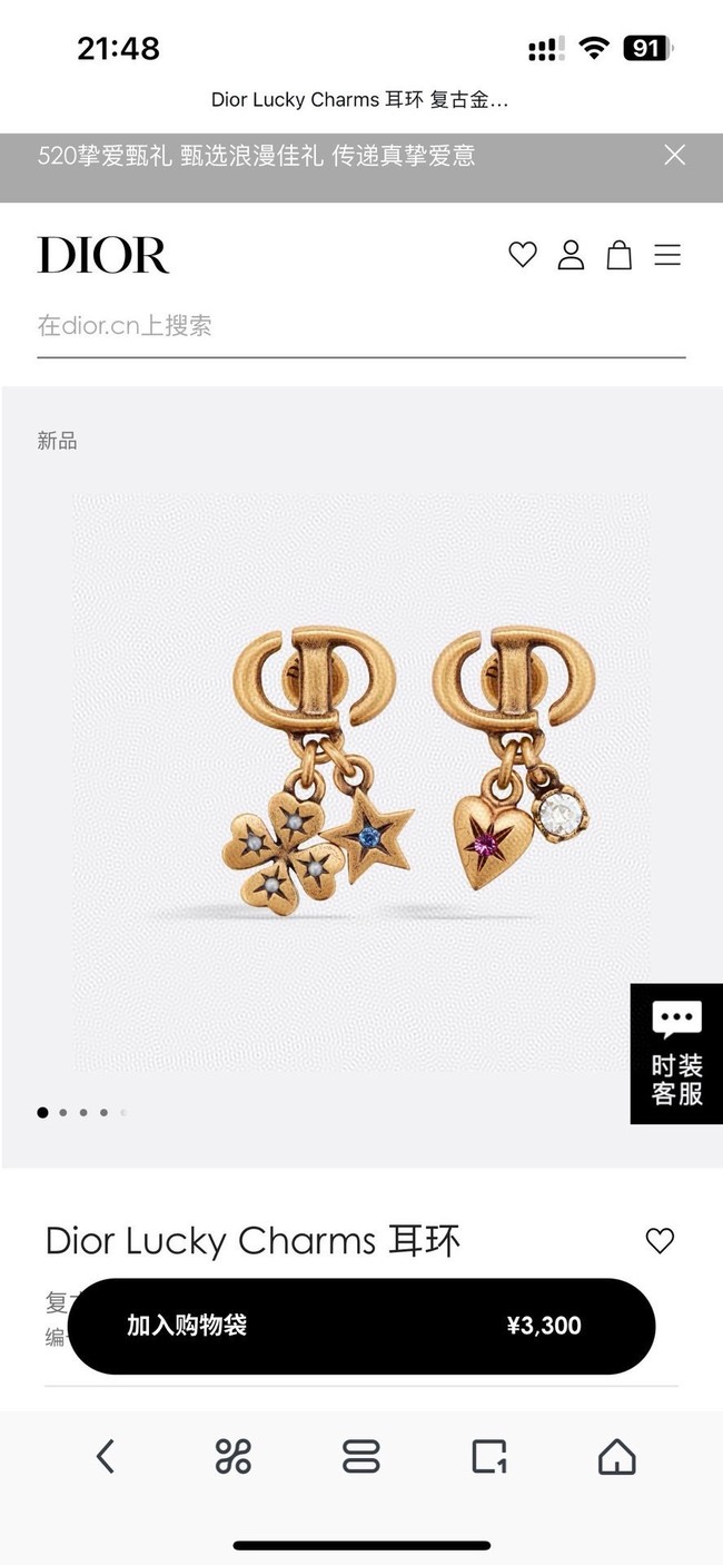 Dior Earring CE15813