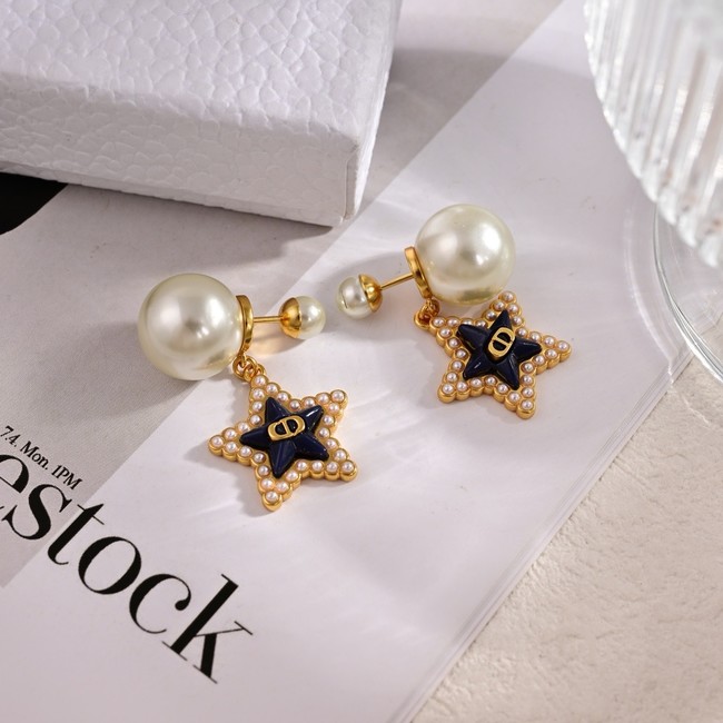 Dior Earring CE15818