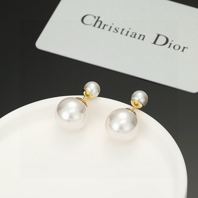 Dior Earring CE15867