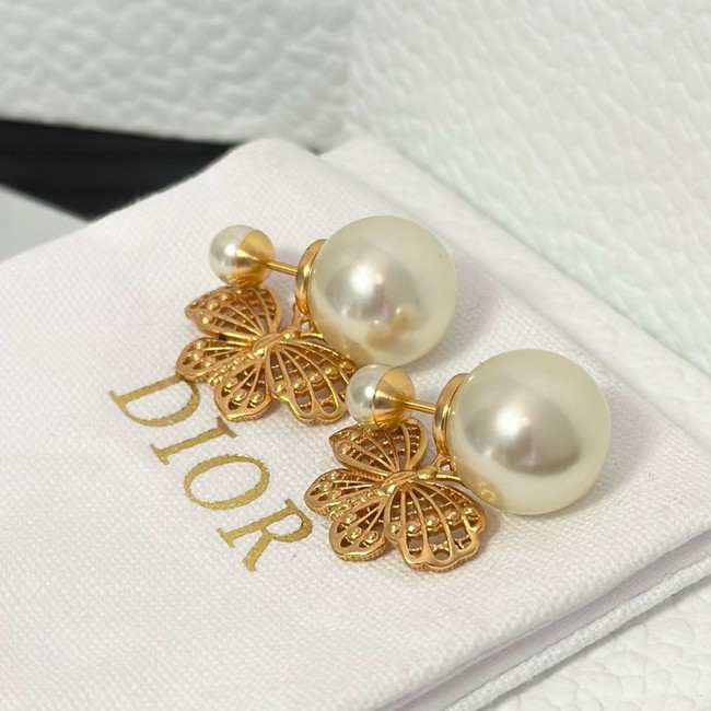 Dior Earring CE15987