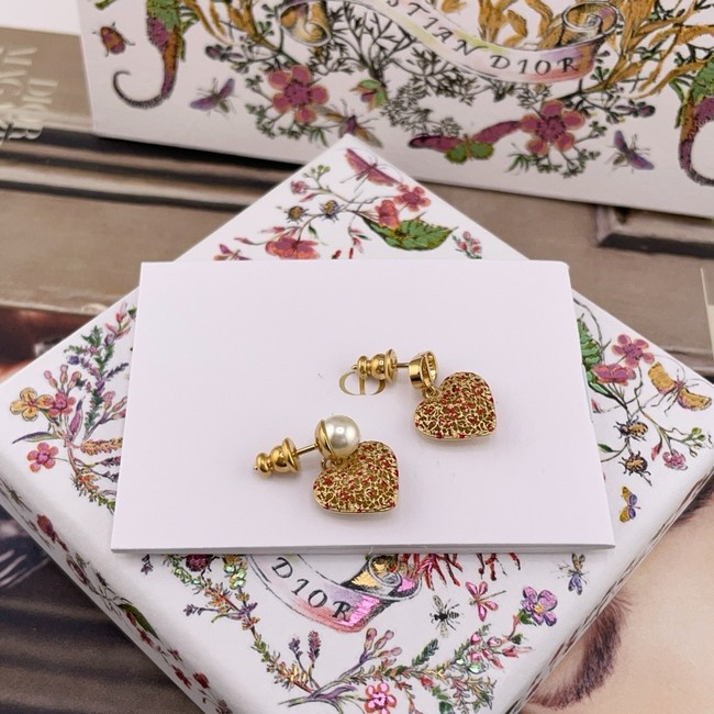 Dior Earring CE16007