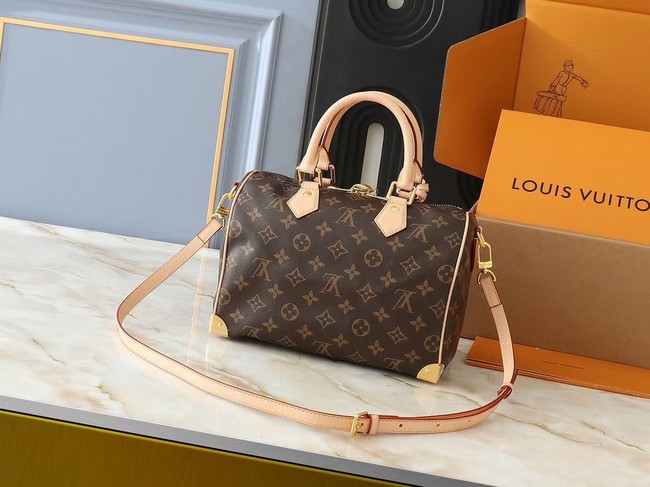 Louis Vuitton LV x TM Speedy Bandouliere 25 M13805