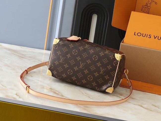 Louis Vuitton LV x TM Speedy Bandouliere 25 M13805