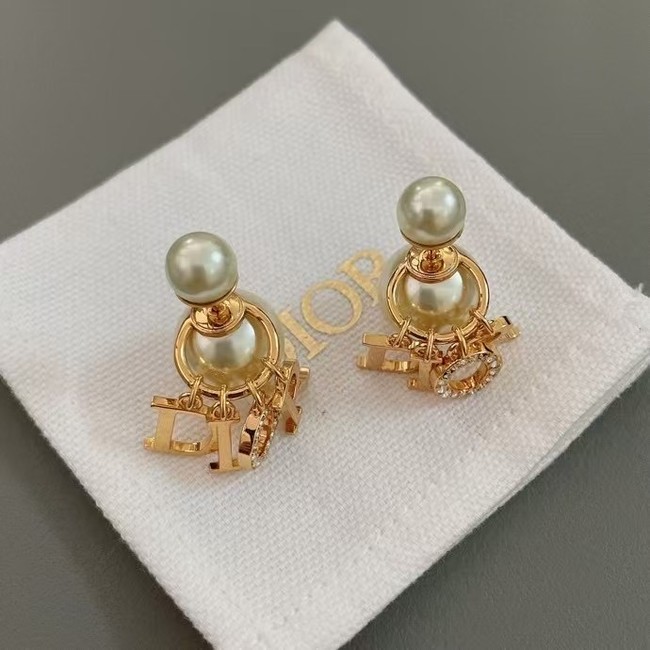 Dior Earring CE16077