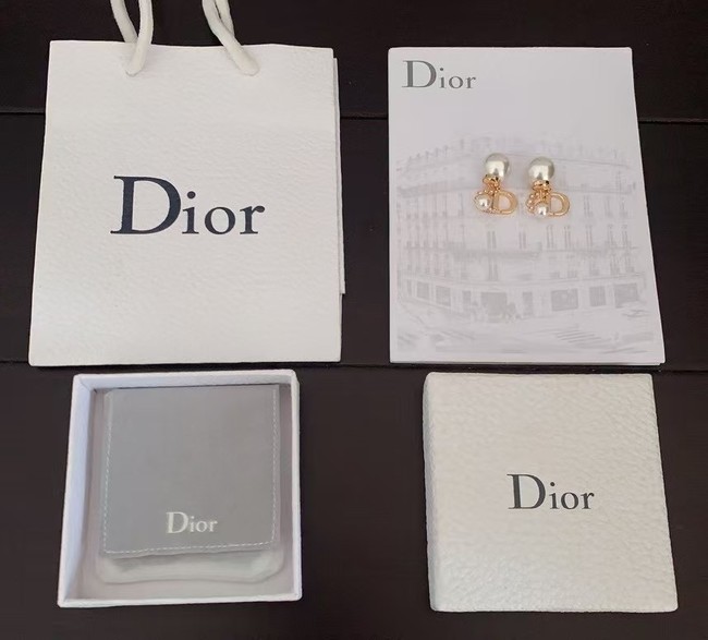 Dior Earring CE16082