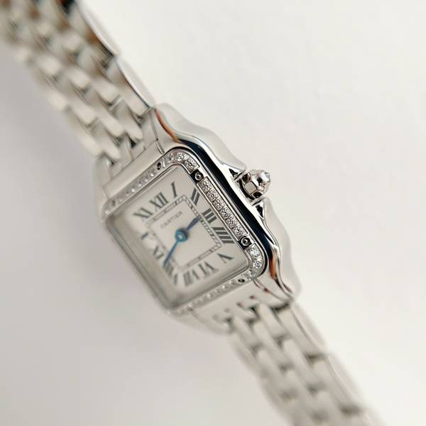 Cartier Watch CTW00721