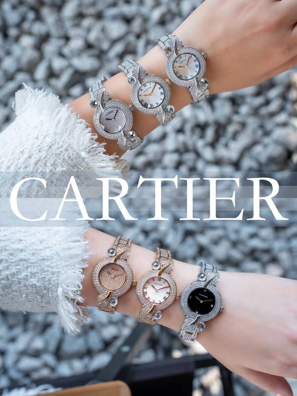 Cartier Watch CTW00734-1