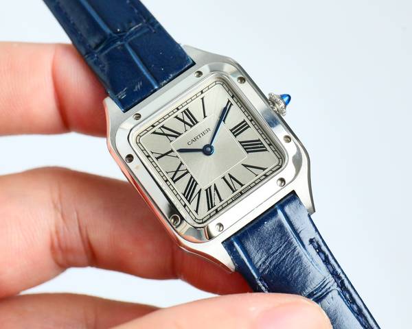 Cartier Watch CTW00751-1