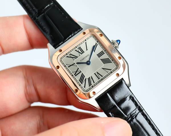 Cartier Watch CTW00751-2