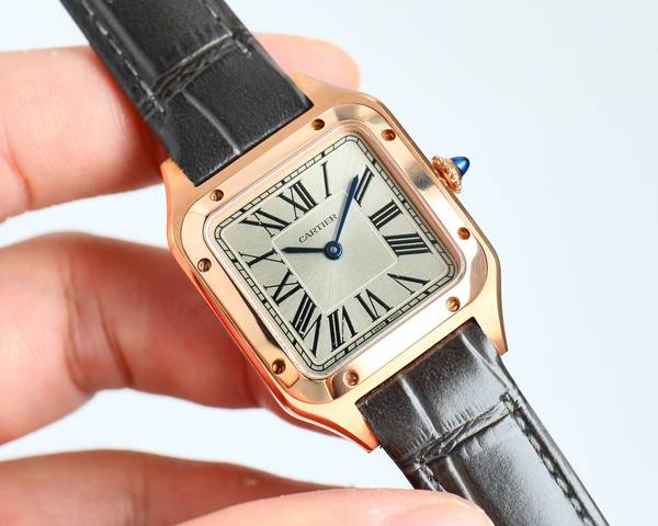 Cartier Watch CTW00752-2