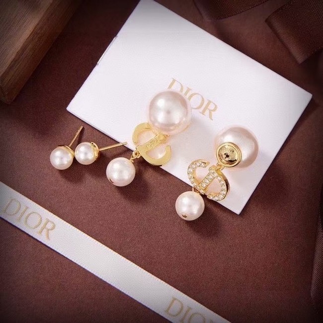 Dior Earring CE16138