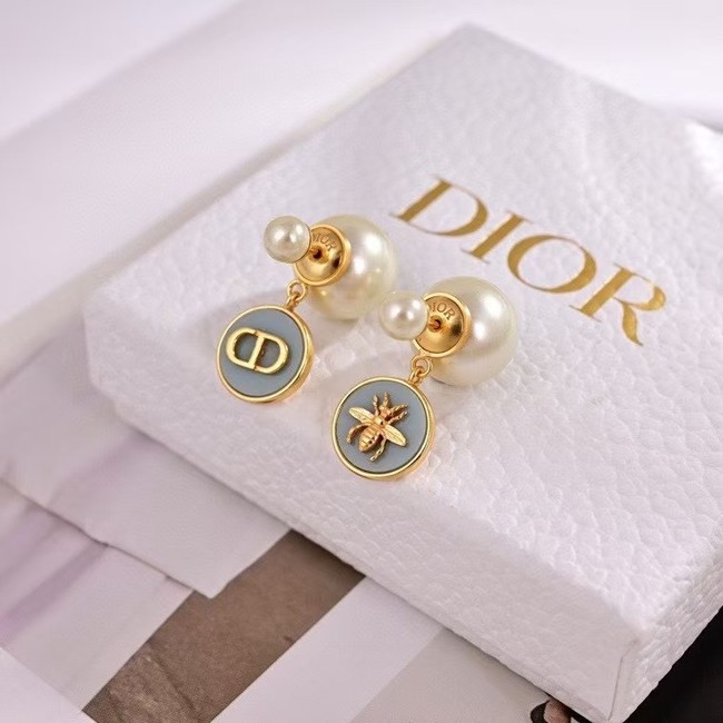 Dior Earring CE16140