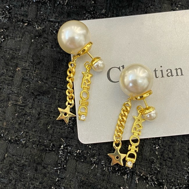 Dior Earring CE16175