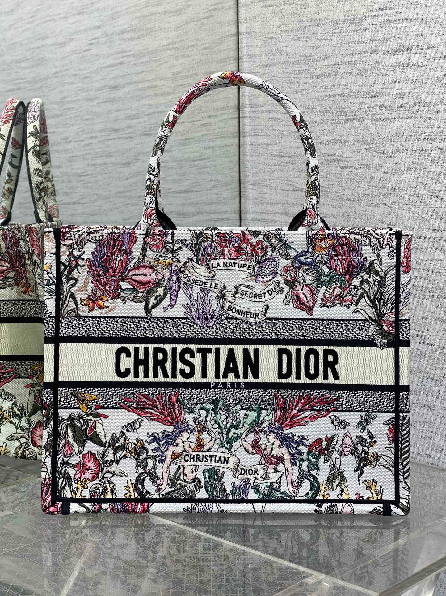 Dioramour Medium Dior Book Tote M1296ZEED Multicolor