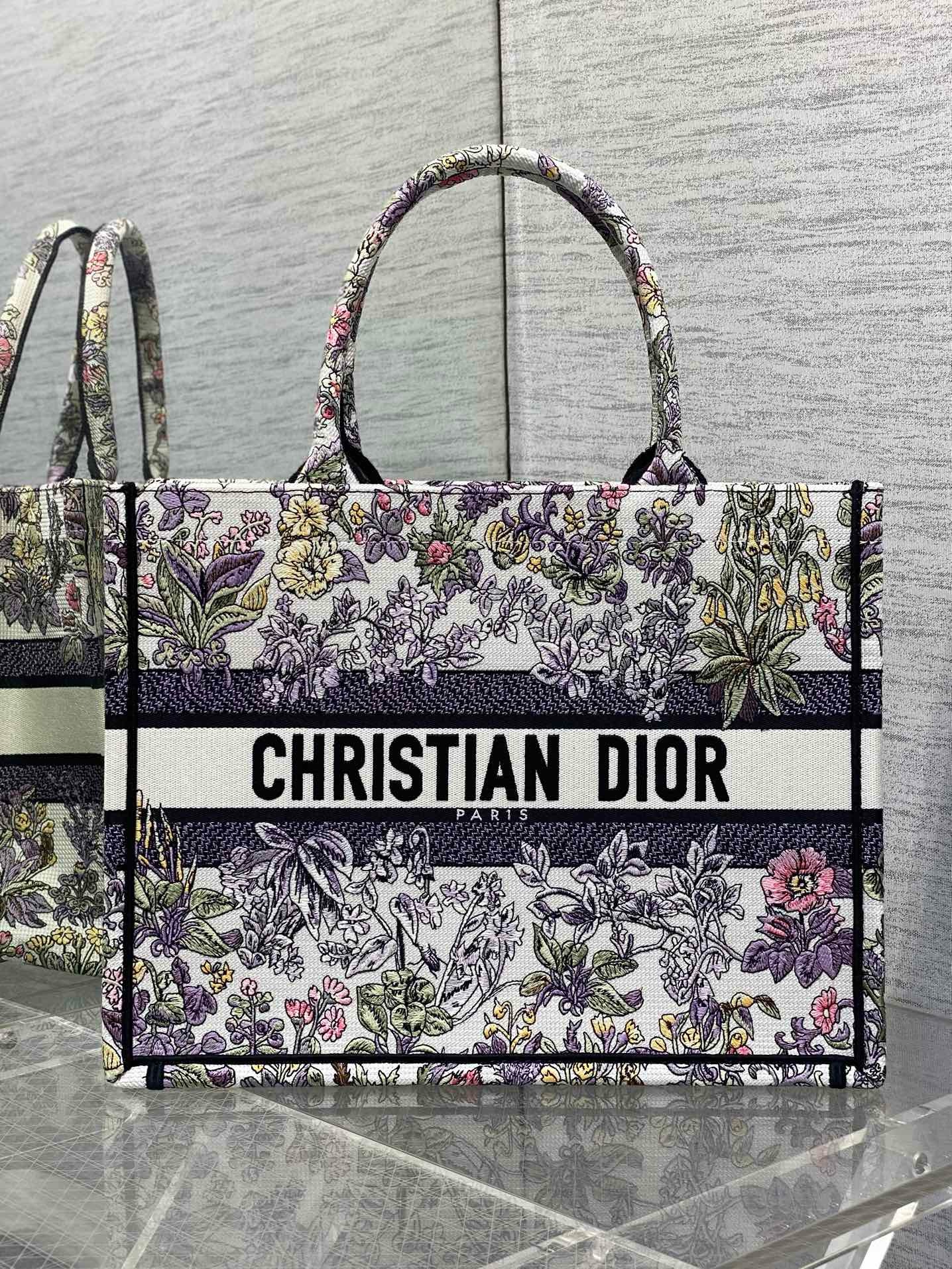 Dioramour Medium Dior Book Tote M1296ZEEV Multicolor