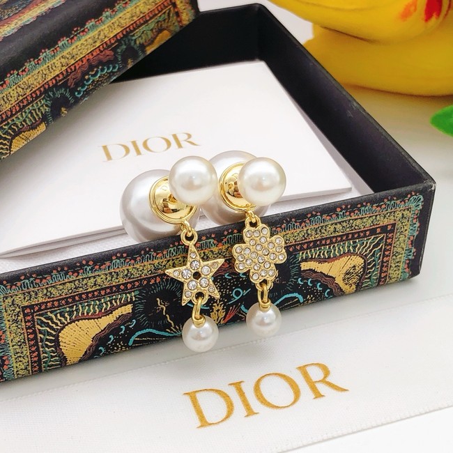 Dior Earring CE16235