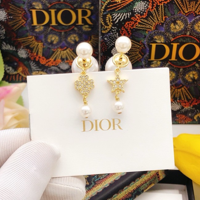 Dior Earring CE16235