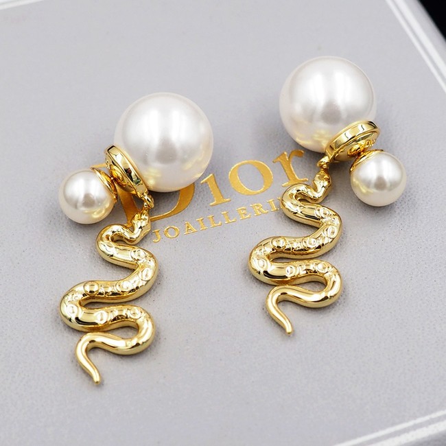 Dior Earring CE16238