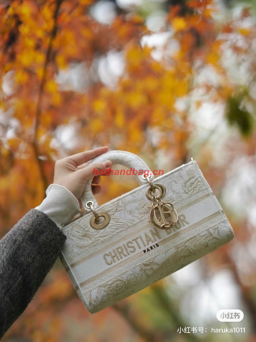 Dior MEDIUM LADY D-JOY BAG Multicolor Petites Fleurs Embroidery M0540OD Dior MEDIUM LADY D-JOY BAG Multicolor Petites Fleurs Embroidery M0540OD