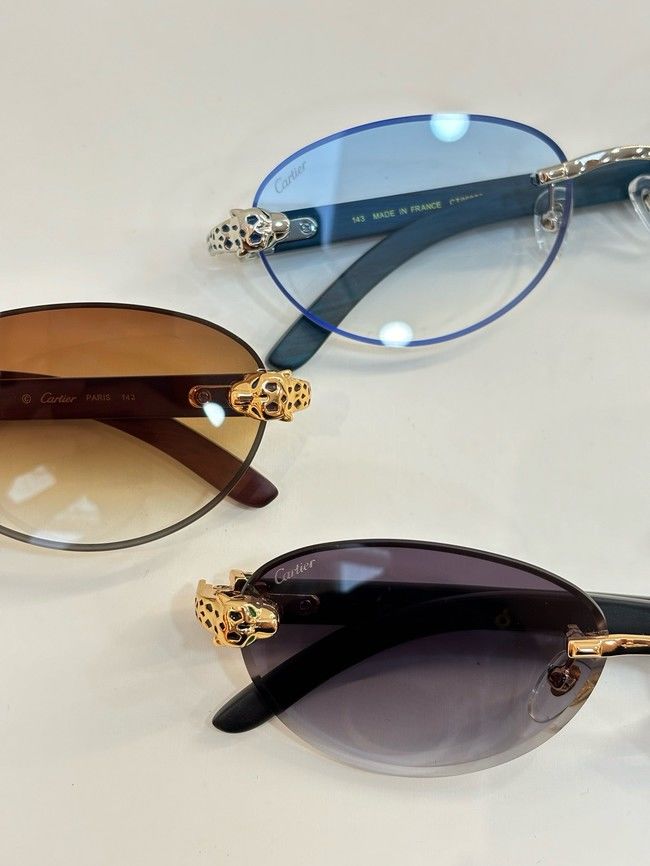 Cartier Sunglasses 260529-6 Cartier Sunglasses 260529-6