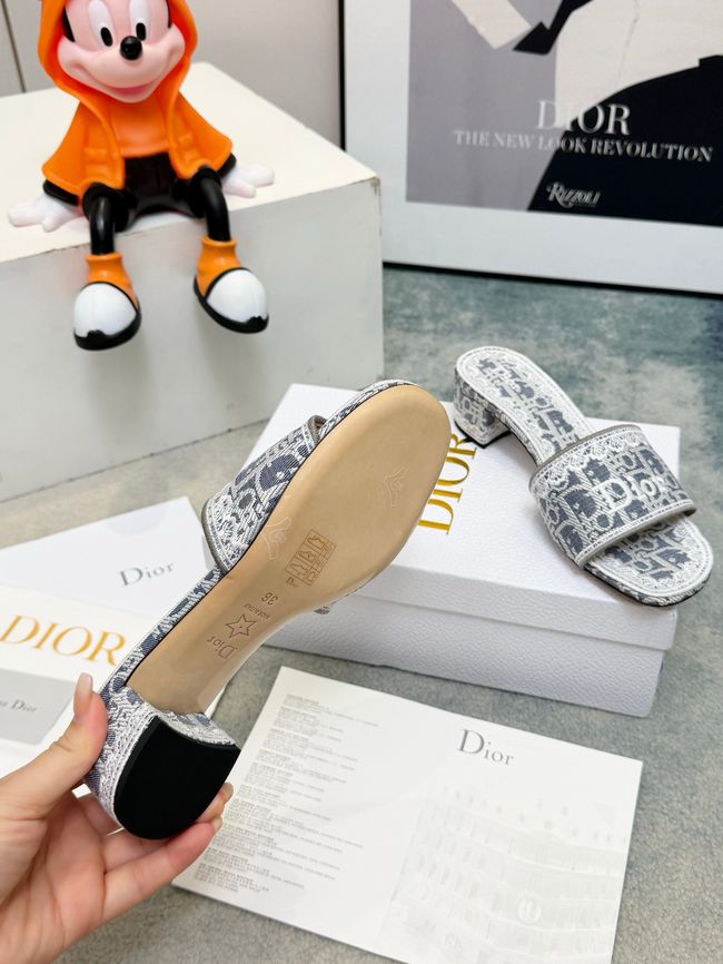 Dior Dway Heeled Slide 69003-7