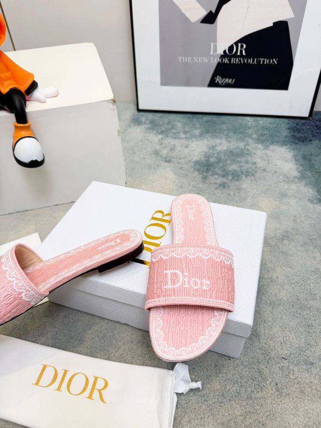 Dior Dway Slide 69004-1