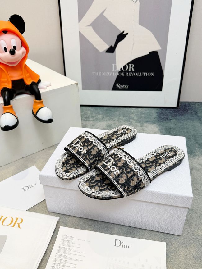 Dior Dway Slide 69004-5