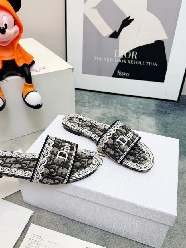 Dior Dway Slide 69004-5