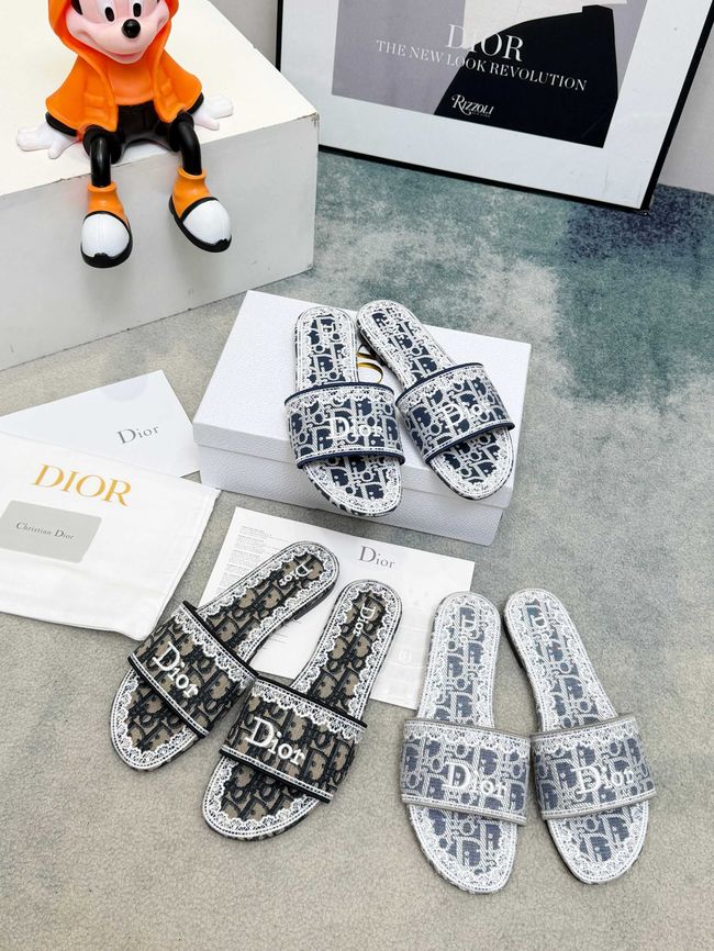 Dior Dway Slide 69004-6