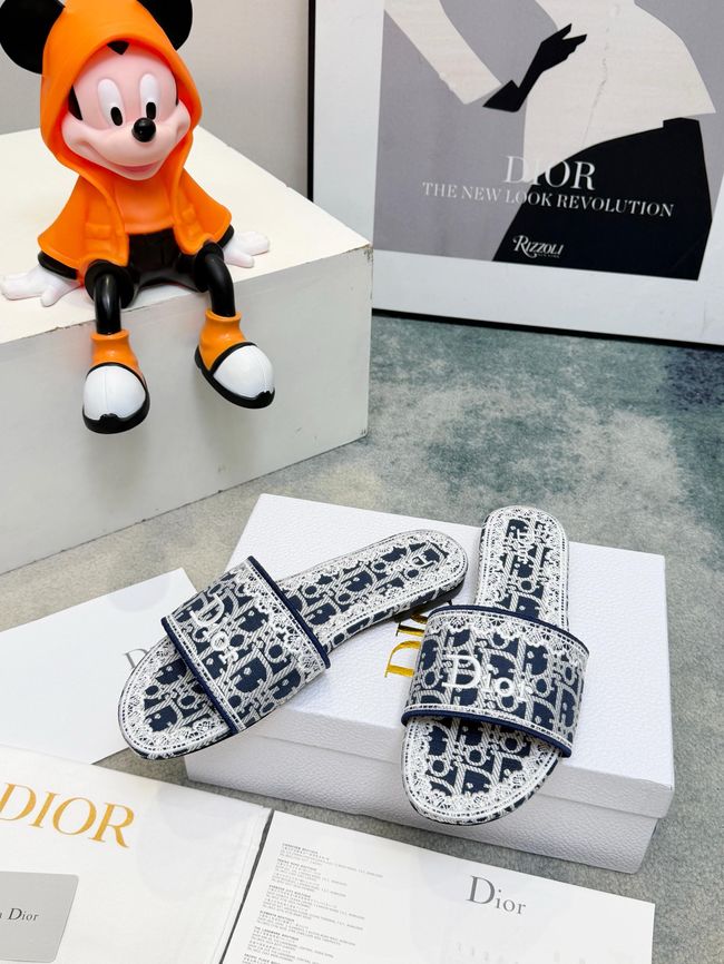 Dior Dway Slide 69004-6