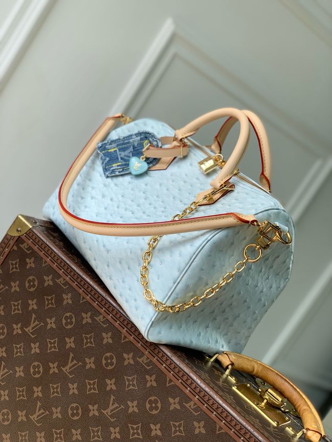 Louis Vuitton NEW Speedy Soft 30 M41112 light blue
