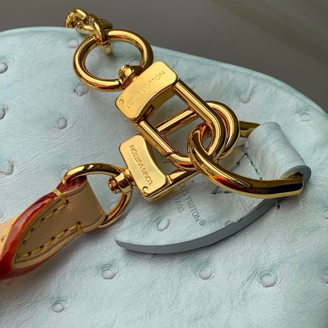 Louis Vuitton NEW Speedy Soft 30 M41112 light blue