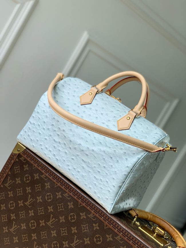 Louis Vuitton NEW Speedy Soft 30 M41112 light blue