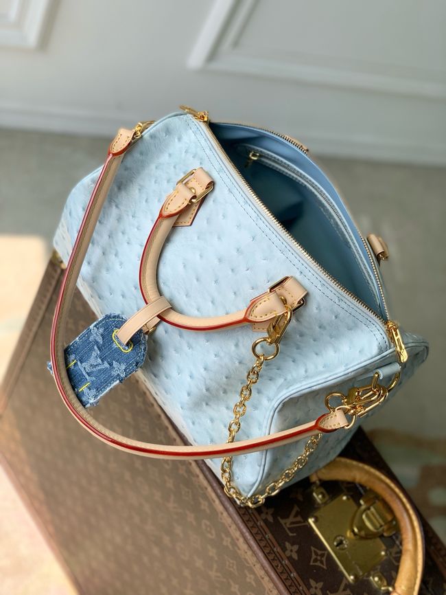 Louis Vuitton NEW Speedy Soft 30 M41112 light blue