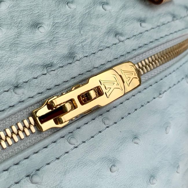 Louis Vuitton NEW Speedy Soft 30 M41112 light blue