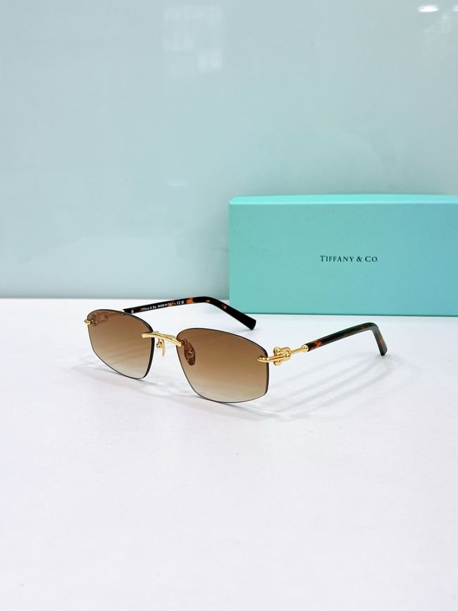 Tiffany Sunglasses 821502-10
