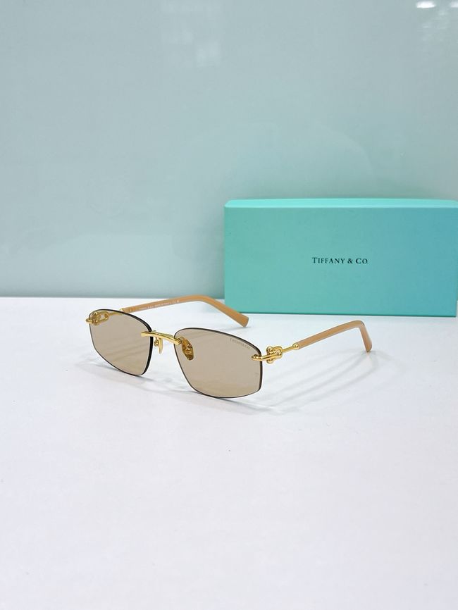 Tiffany Sunglasses 821502-3