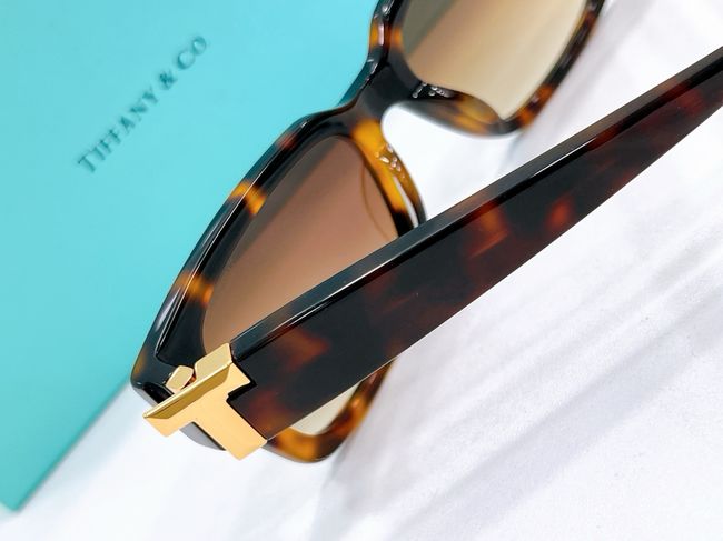 Tiffany Sunglasses 821503-3