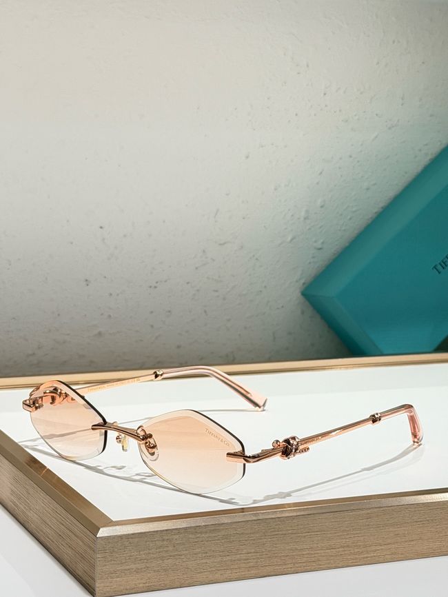 Tiffany Sunglasses 821504-5