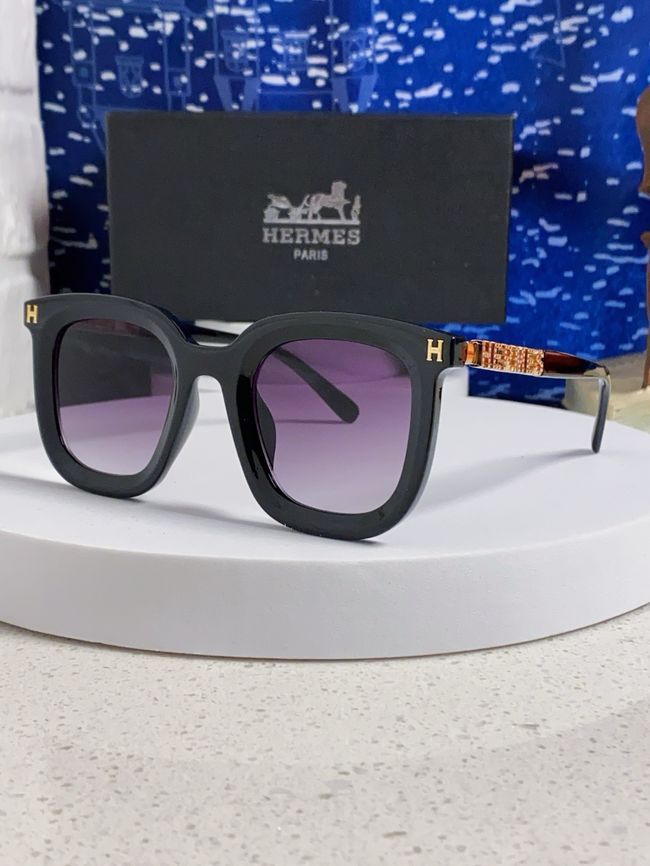 Hermes Sunglasses 821519-3 Hermes Sunglasses 821519-3